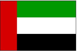 Flag-United-Arab-Emirates_3455000290
