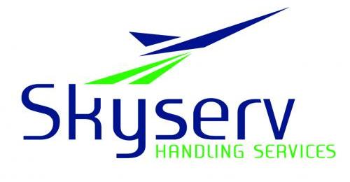 Skyserv Handling